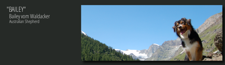 Vinaora Nivo Slider 3.x