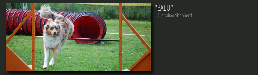 Vinaora Nivo Slider 3.x