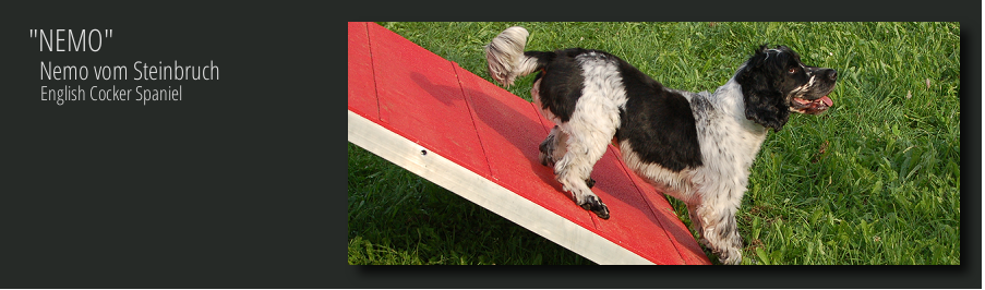 Vinaora Nivo Slider 3.x